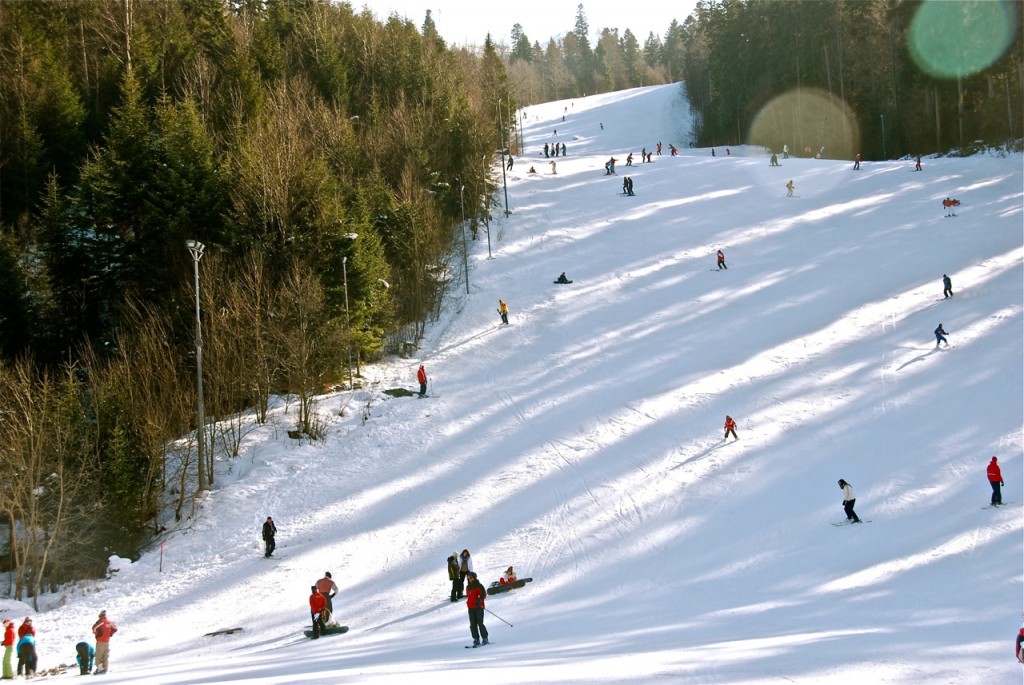 Pârtii de schi Azuga